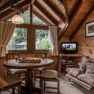 Cabañas y Spa Antuen